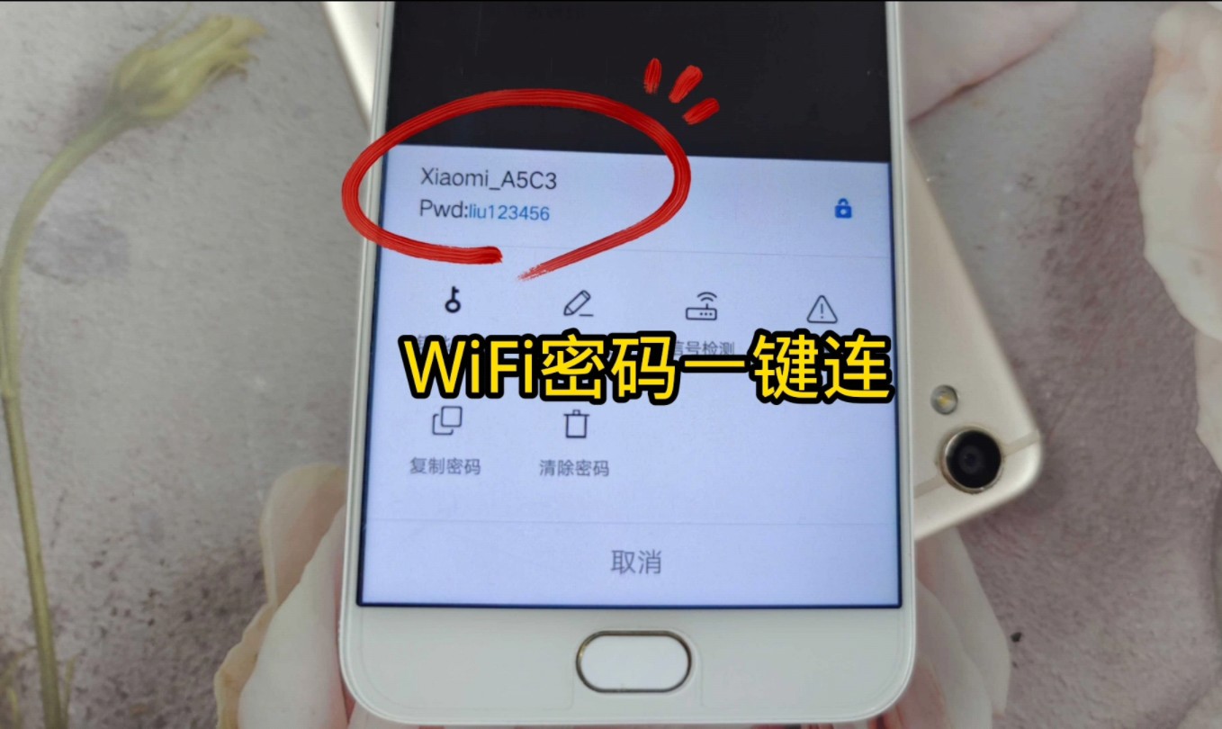 密码帝客户端密码帝官网免费使用网页版