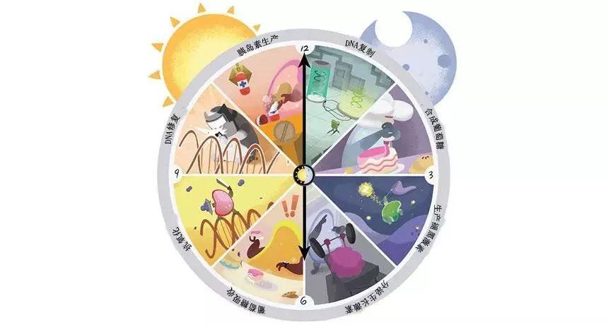 theclocks安卓版treblecheck安卓版